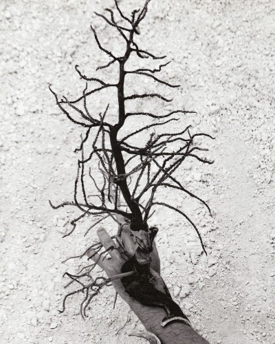 Island Time Forgot - © SHERIFF • PROJECTS