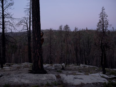 New Suns - © SHERIFF • PROJECTS