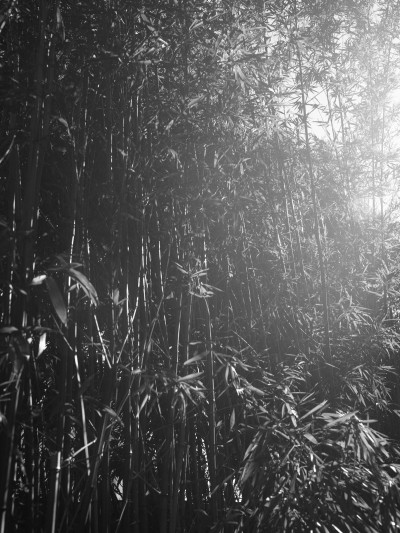 Document Journal, 10th anniversary - © SHERIFF • PROJECTS
