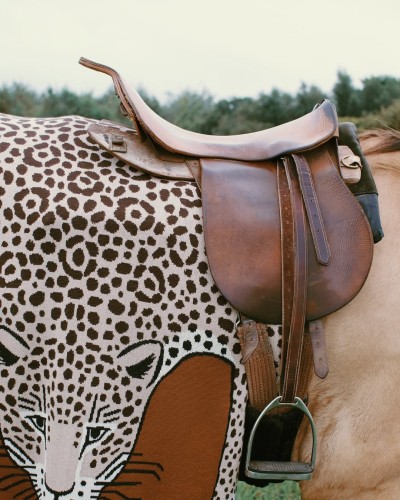 Inoui Editions - © SHERIFF • PROJECTS