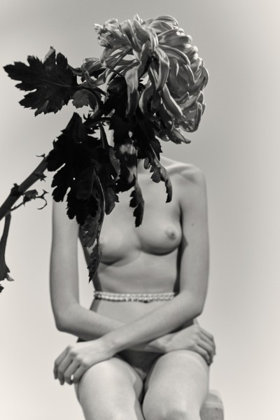 Revue - © SHERIFF • PROJECTS