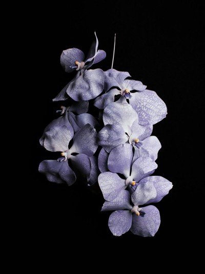 Dior Haute Couture Spring Summer 2026 - Benjamin Pexton - Fashion Shows & Special Projects, Capture digitale et retouche photo vidéo Fashion Week - 3 - © SHERIFF • PROJECTS