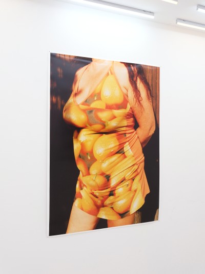 Chère Lisa - Louise Chevallet - Sheriff Gallery, Galerie d’art Paris - 1 - © SHERIFF • PROJECTS