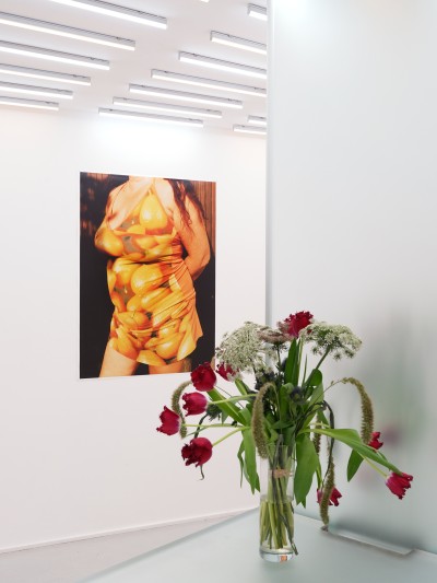 Chère Lisa - Louise Chevallet - Sheriff Gallery, Galerie d’art Paris - 15 - © SHERIFF • PROJECTS