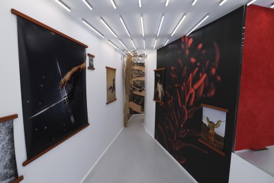Echoes of the Amazon - © SHERIFF • PROJECTS