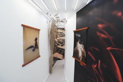 Echoes of the Amazon - © SHERIFF • PROJECTS