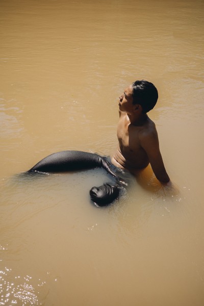 Echoes of the Amazon - © SHERIFF • PROJECTS