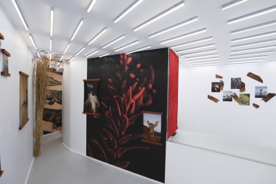 Echoes of the Amazon - © SHERIFF • PROJECTS