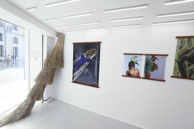 Echoes of the Amazon - © SHERIFF • PROJECTS