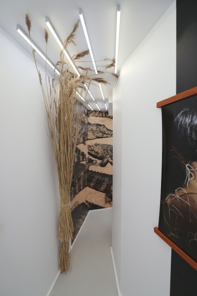 Echoes of the Amazon - © SHERIFF • PROJECTS