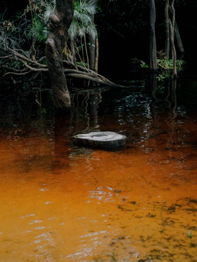 Echoes of the Amazon - © SHERIFF • PROJECTS