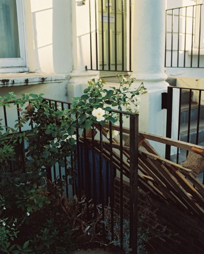 IN/VISIBLE - © SHERIFF • PROJECTS
