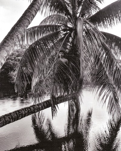 ISLAND TIME FORGOT - © SHERIFF • PROJECTS