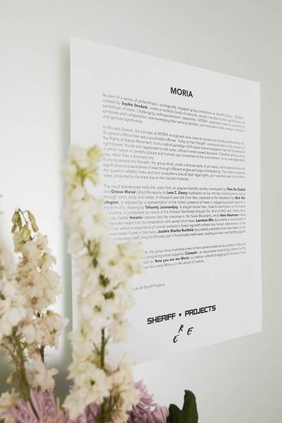 Moria - © SHERIFF • PROJECTS