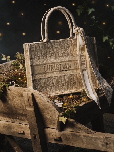 Dior Christmas - © SHERIFF • PROJECTS