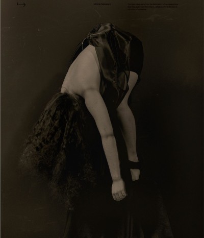 Wül - © SHERIFF • PROJECTS