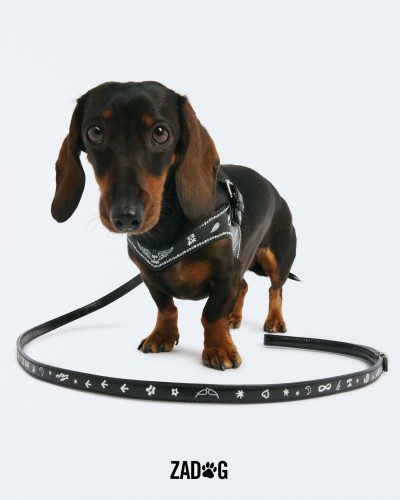 Zadig&Voltaire - Stills, Retouche photo créative mode luxe - 2 - © SHERIFF • PROJECTS