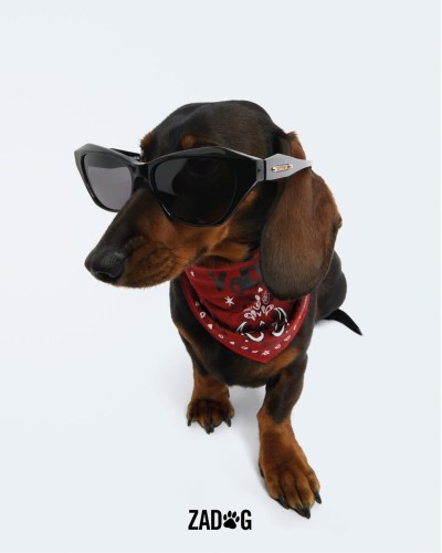 Zadig&Voltaire - Stills, Retouche photo créative mode luxe - 7 - © SHERIFF • PROJECTS