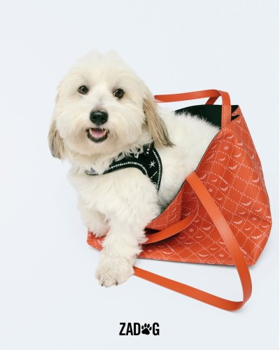 Zadig&Voltaire - Stills, Retouche photo créative mode luxe - 3 - © SHERIFF • PROJECTS