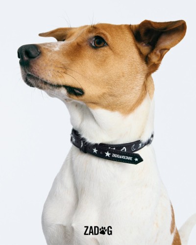 Zadig&Voltaire - Stills, Retouche photo créative mode luxe - 13 - © SHERIFF • PROJECTS