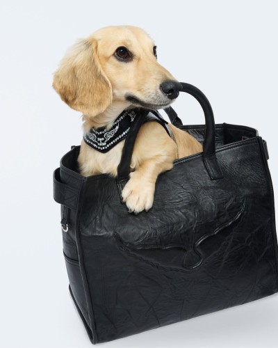 Zadig&Voltaire - Stills, Retouche photo créative mode luxe - 15 - © SHERIFF • PROJECTS