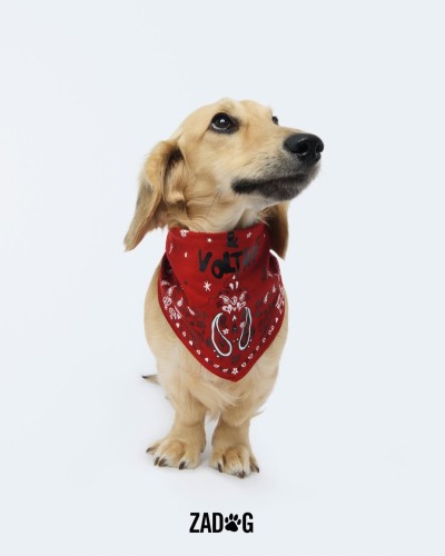 Zadig&Voltaire - Stills, Retouche photo créative mode luxe - 5 - © SHERIFF • PROJECTS